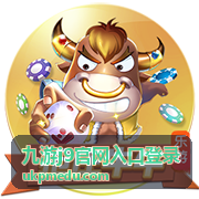 九游j9官网入口登录账号中心与权益总览界面图